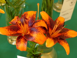 Foto: Dr. Peter Müller